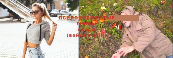 прущая мука Медвежьегорск