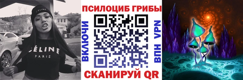 Галлюциногенные грибы Cubensis  Купить  Десногорск 